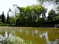DSC03605