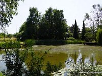 DSC03606