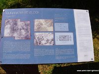 DSC03607