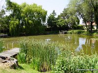 DSC03610