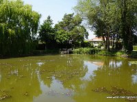 DSC03611