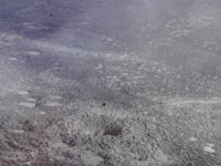 DSC03613