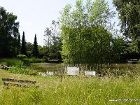 DSC03629