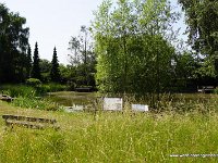 DSC03630