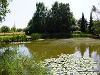 DSC03632