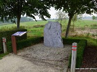DSC03564