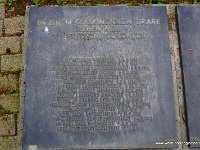 DSC00320