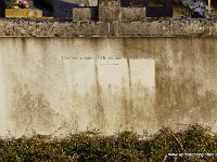 DSC00351