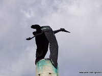 DSC03023