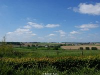 DSC05497