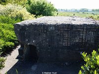 DSC05509