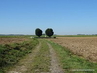 DSC05488