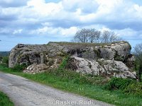 DSC00303