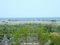 DSC00307