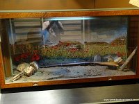 DSC02430