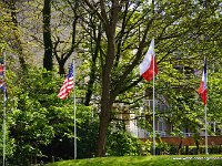 DSC06268-001