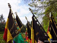 DSC06393-001