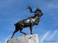 141-DSC01295
