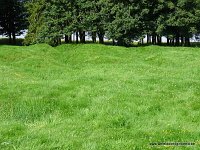 152-DSC01308