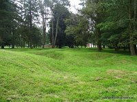 DSC00356
