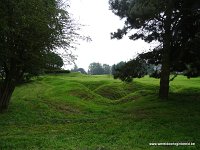 DSC00359