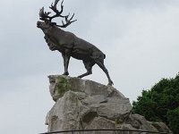 DSC00361