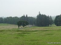 DSC00381
