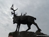 DSC00386