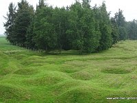 DSC00387