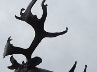 DSC00388