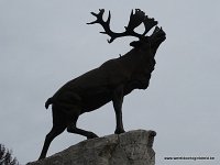 DSC00393