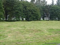 DSC00399
