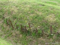 DSC00400
