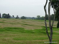 DSC00403