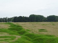 DSC00407