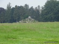 DSC00461