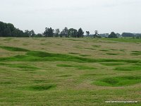 DSC00466