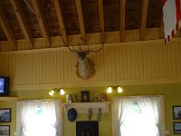 DSC00478
