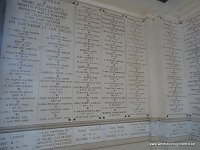 491-DSC01675
