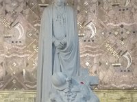 497-DSC01681
