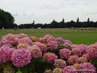 610-DSC01798