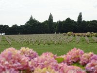613-DSC01801