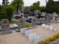 DSC00029