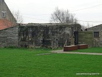 DSC06909