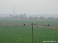 DSC06957