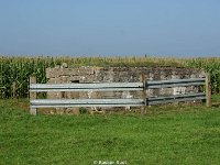 DSC06795