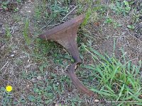 DSC06493