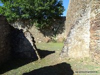 DSC06497
