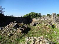 DSC06503