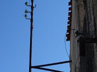 DSC06604
